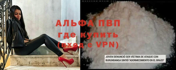 прущие грибы Аркадак