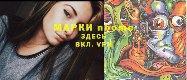 прущие грибы Аркадак