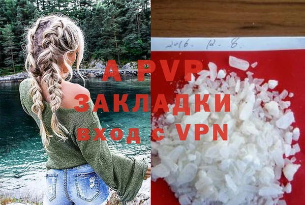 прущие грибы Аркадак