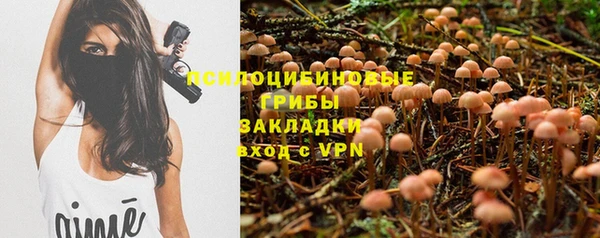 прущие грибы Аркадак