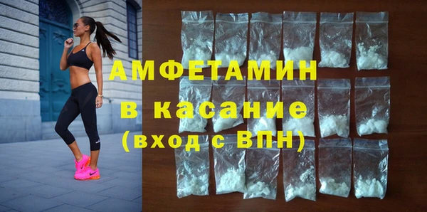 прущие грибы Аркадак