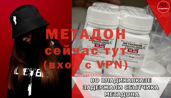 прущие грибы Аркадак