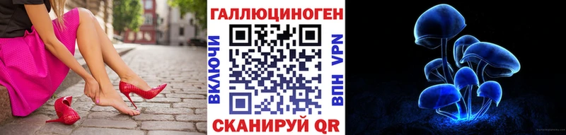 Галлюциногенные грибы Psilocybe  Междуреченск 